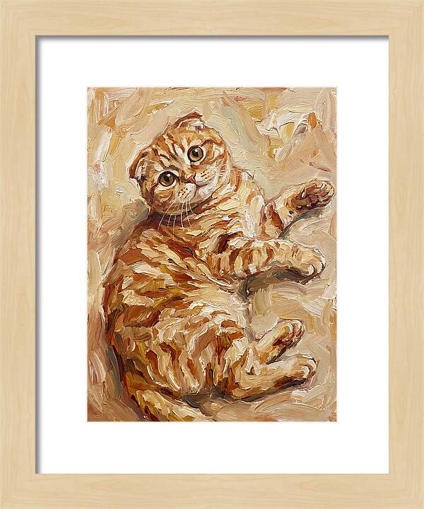 Scottish Fold Serenity