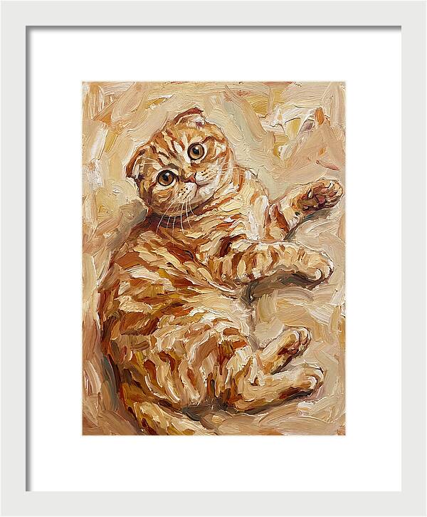 Scottish Fold Serenity
