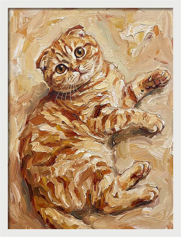 Scottish Fold Serenity