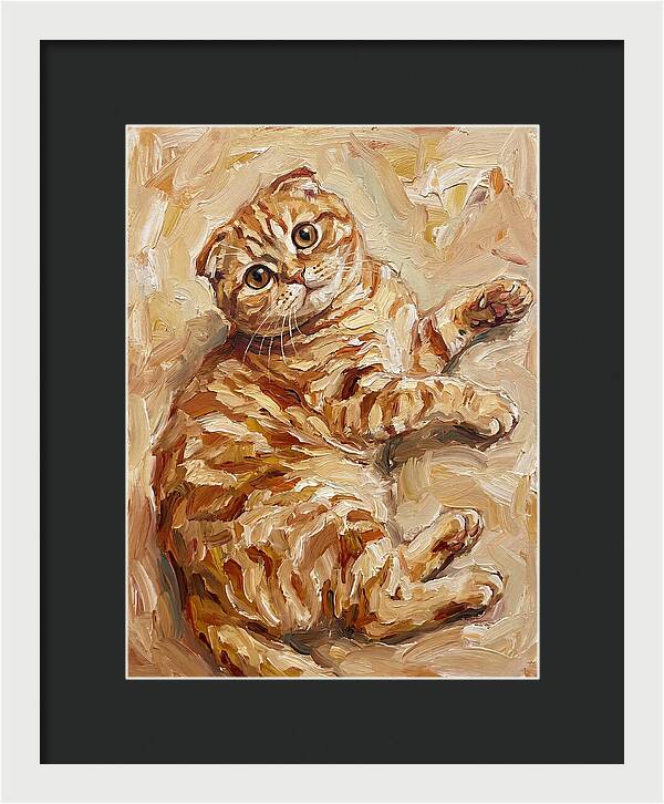 Scottish Fold Serenity
