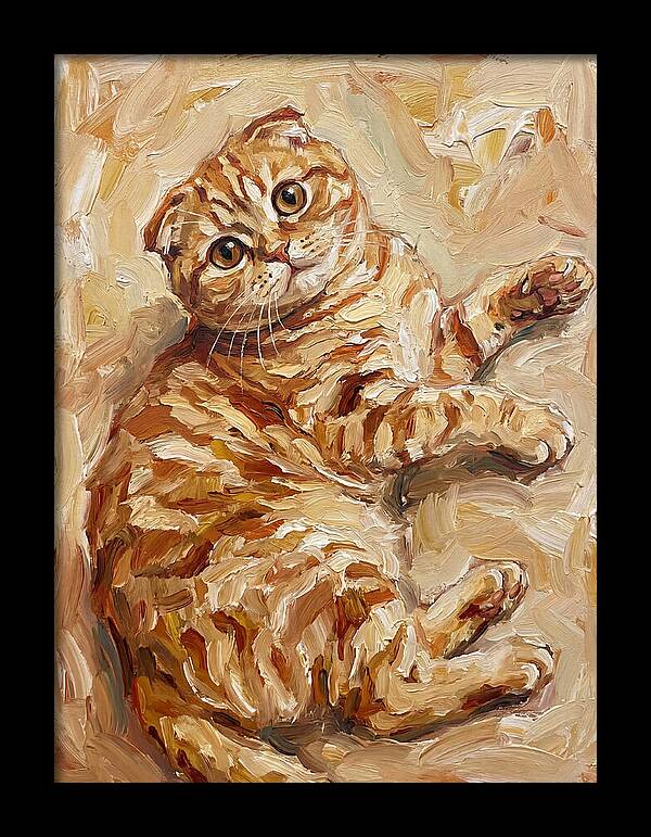 Scottish Fold Serenity