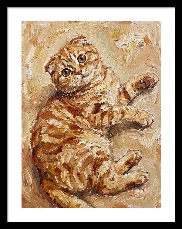 Scottish Fold Serenity