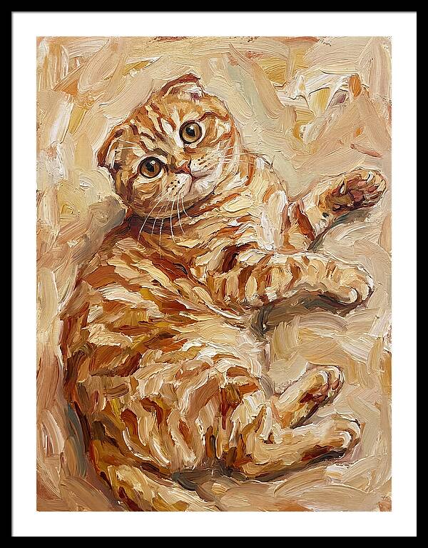 Scottish Fold Serenity