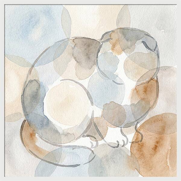 Scottish Fold Tranquility