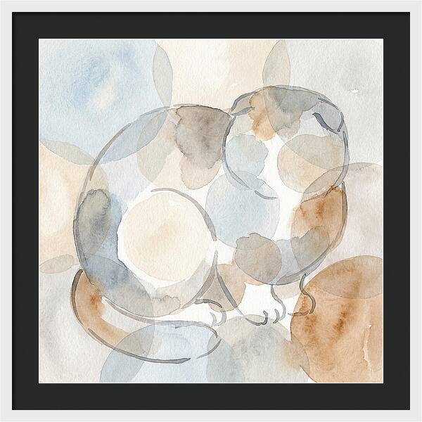 Scottish Fold Tranquility
