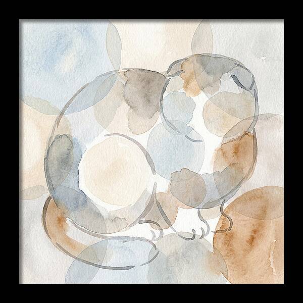 Scottish Fold Tranquility