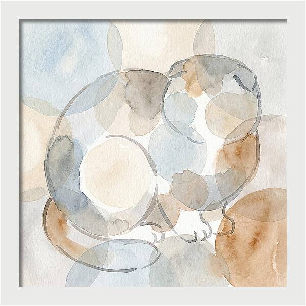 Scottish Fold Tranquility