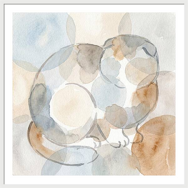 Scottish Fold Tranquility