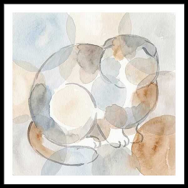 Scottish Fold Tranquility