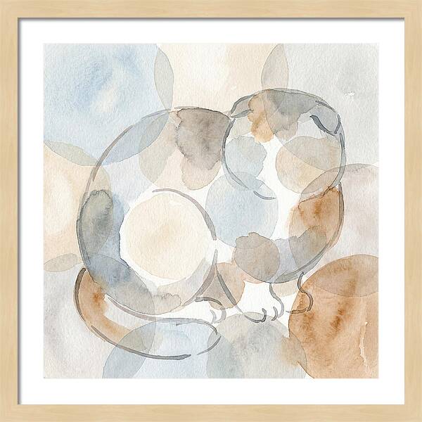 Scottish Fold Tranquility