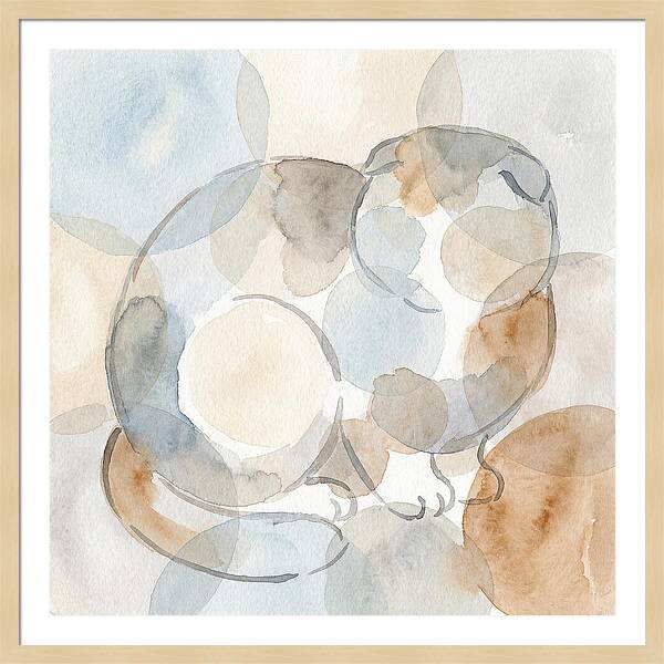 Scottish Fold Tranquility