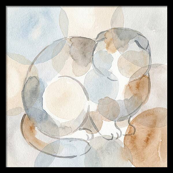 Scottish Fold Tranquility