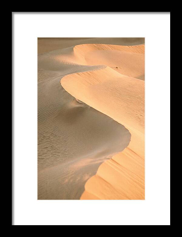 Sculpted Warmth Of Mesquite Dunes