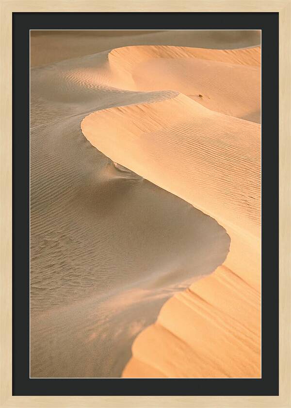 Sculpted Warmth Of Mesquite Dunes
