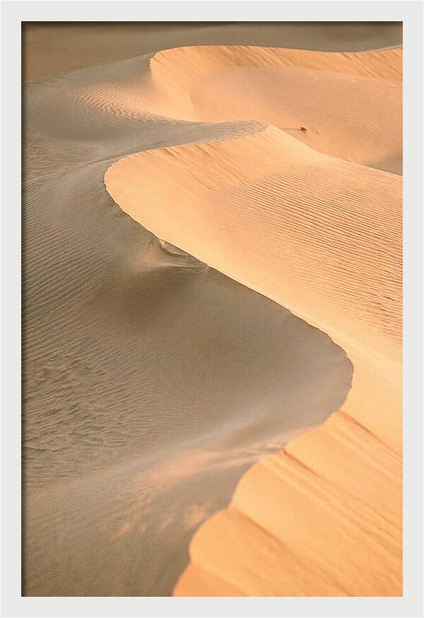 Sculpted Warmth Of Mesquite Dunes