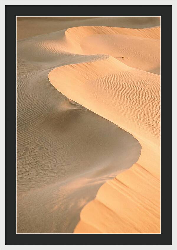 Sculpted Warmth Of Mesquite Dunes
