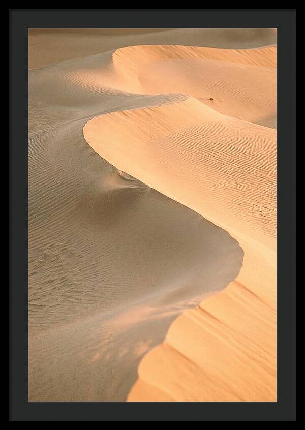 Sculpted Warmth Of Mesquite Dunes