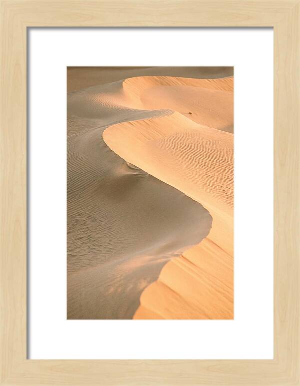 Sculpted Warmth Of Mesquite Dunes