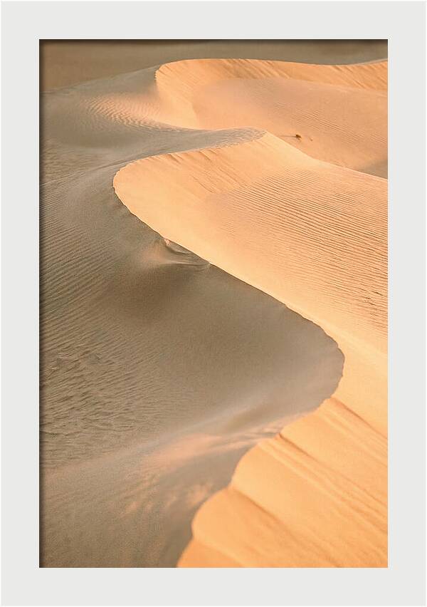Sculpted Warmth Of Mesquite Dunes