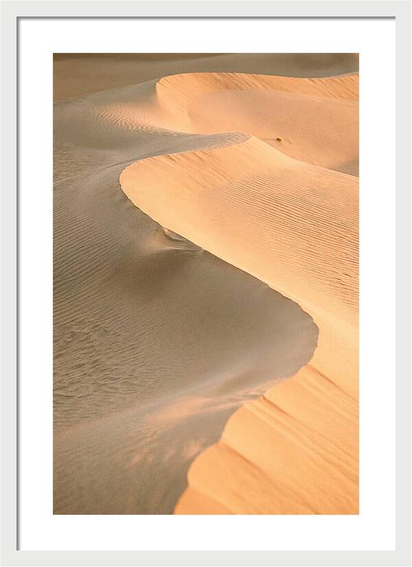 Sculpted Warmth Of Mesquite Dunes