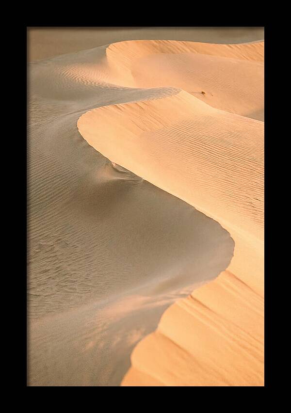 Sculpted Warmth Of Mesquite Dunes