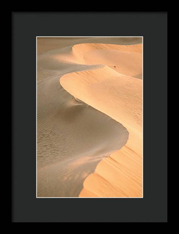 Sculpted Warmth Of Mesquite Dunes