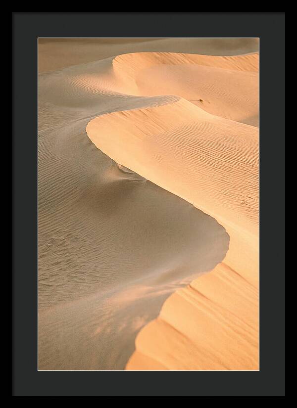 Sculpted Warmth Of Mesquite Dunes