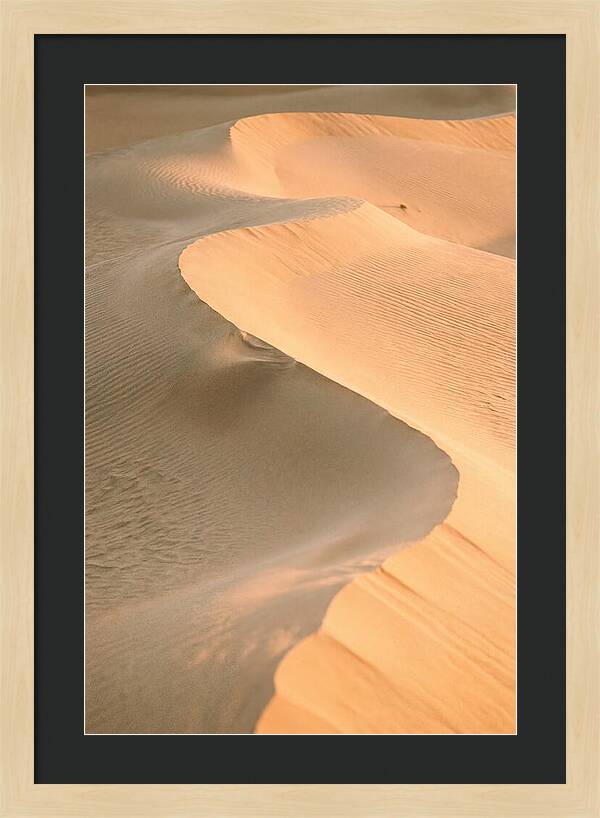 Sculpted Warmth Of Mesquite Dunes
