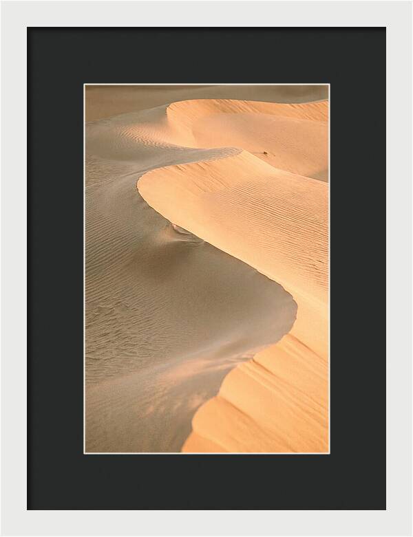 Sculpted Warmth Of Mesquite Dunes