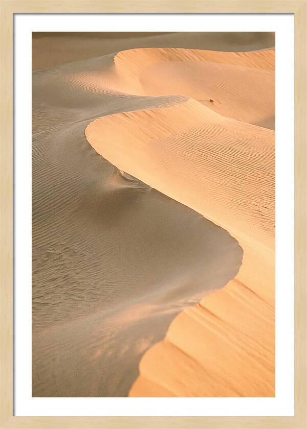 Sculpted Warmth Of Mesquite Dunes