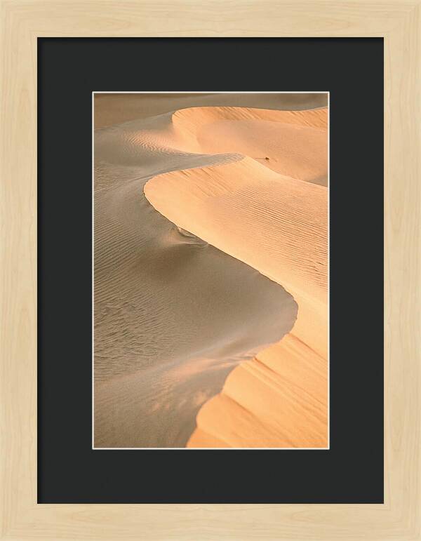 Sculpted Warmth Of Mesquite Dunes