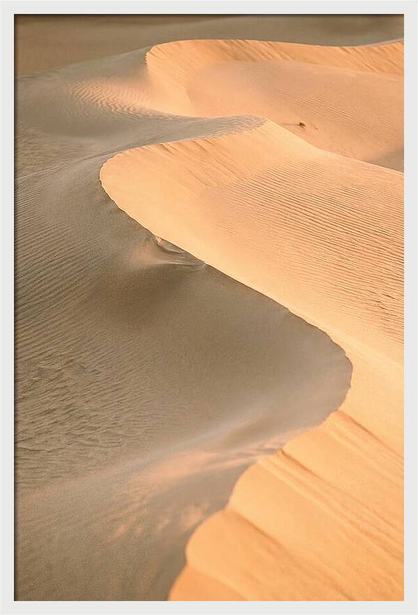 Sculpted Warmth Of Mesquite Dunes
