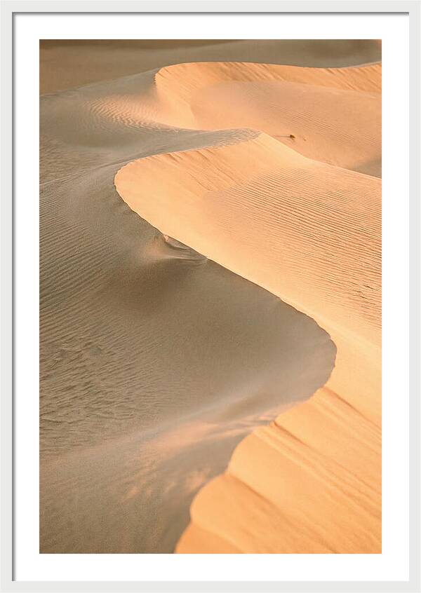 Sculpted Warmth Of Mesquite Dunes