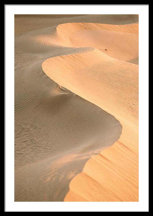 Sculpted Warmth Of Mesquite Dunes
