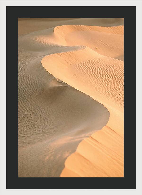 Sculpted Warmth Of Mesquite Dunes