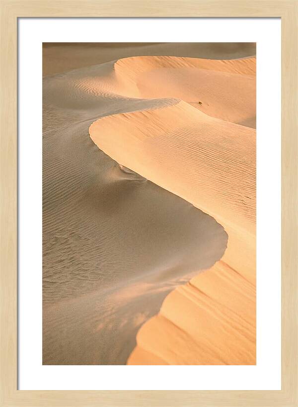 Sculpted Warmth Of Mesquite Dunes