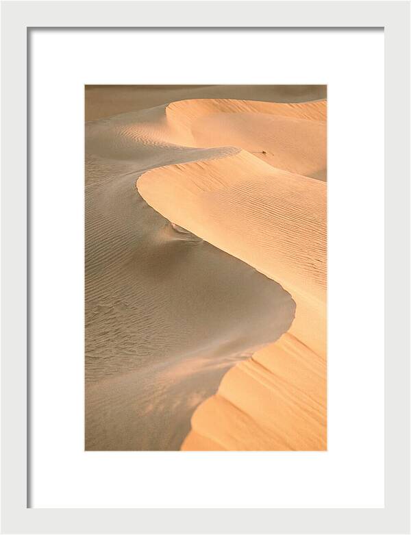 Sculpted Warmth Of Mesquite Dunes