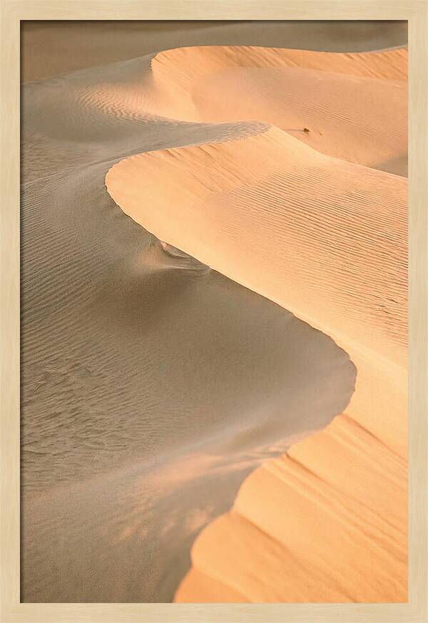 Sculpted Warmth Of Mesquite Dunes