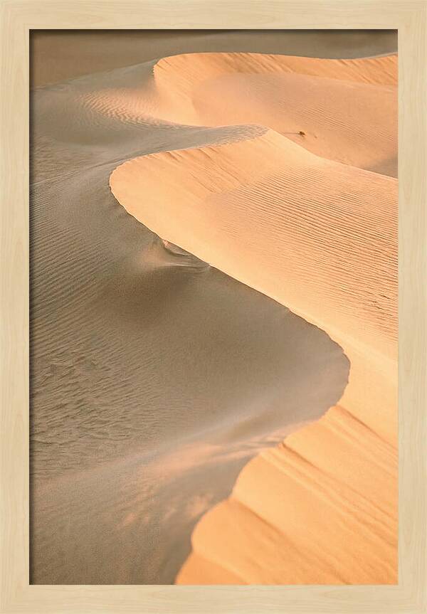 Sculpted Warmth Of Mesquite Dunes