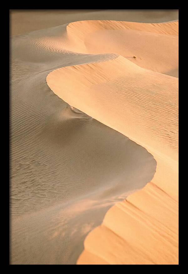 Sculpted Warmth Of Mesquite Dunes