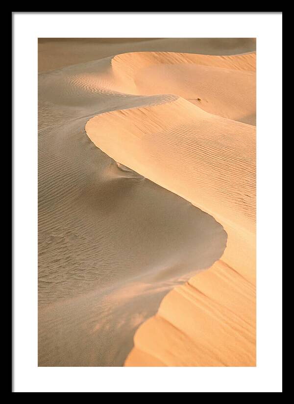 Sculpted Warmth Of Mesquite Dunes
