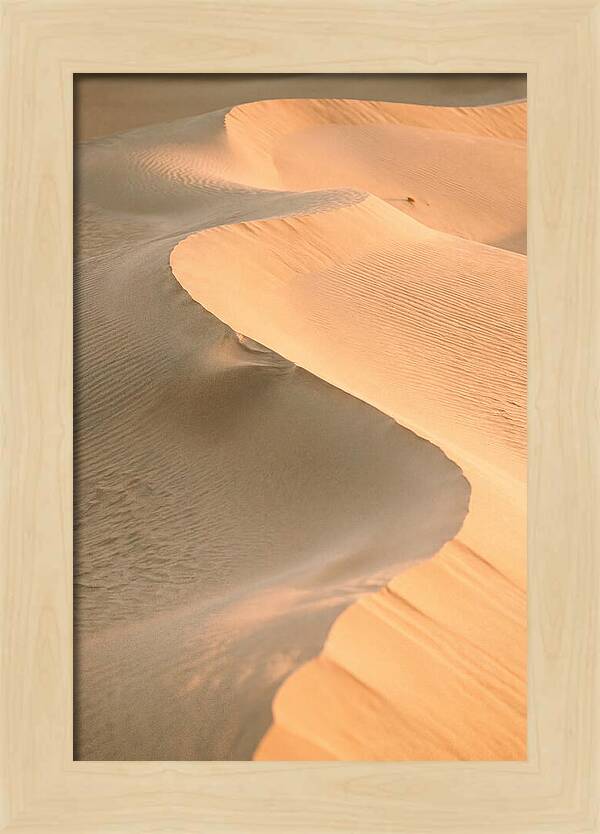 Sculpted Warmth Of Mesquite Dunes