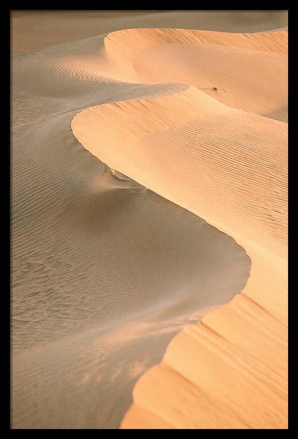 Sculpted Warmth Of Mesquite Dunes