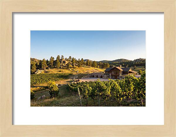 Sd Prairie Berry Winery Landscape