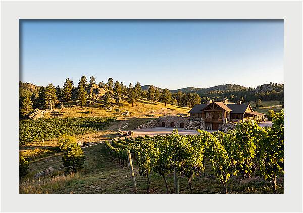 Sd Prairie Berry Winery Landscape