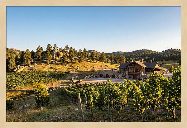 Sd Prairie Berry Winery Landscape