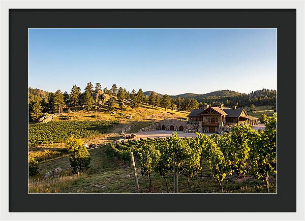 Sd Prairie Berry Winery Landscape