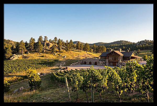 Sd Prairie Berry Winery Landscape
