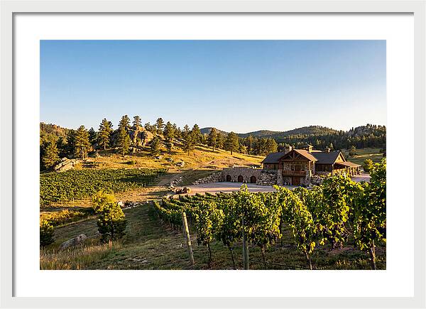 Sd Prairie Berry Winery Landscape