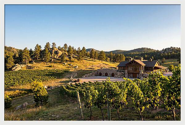 Sd Prairie Berry Winery Landscape